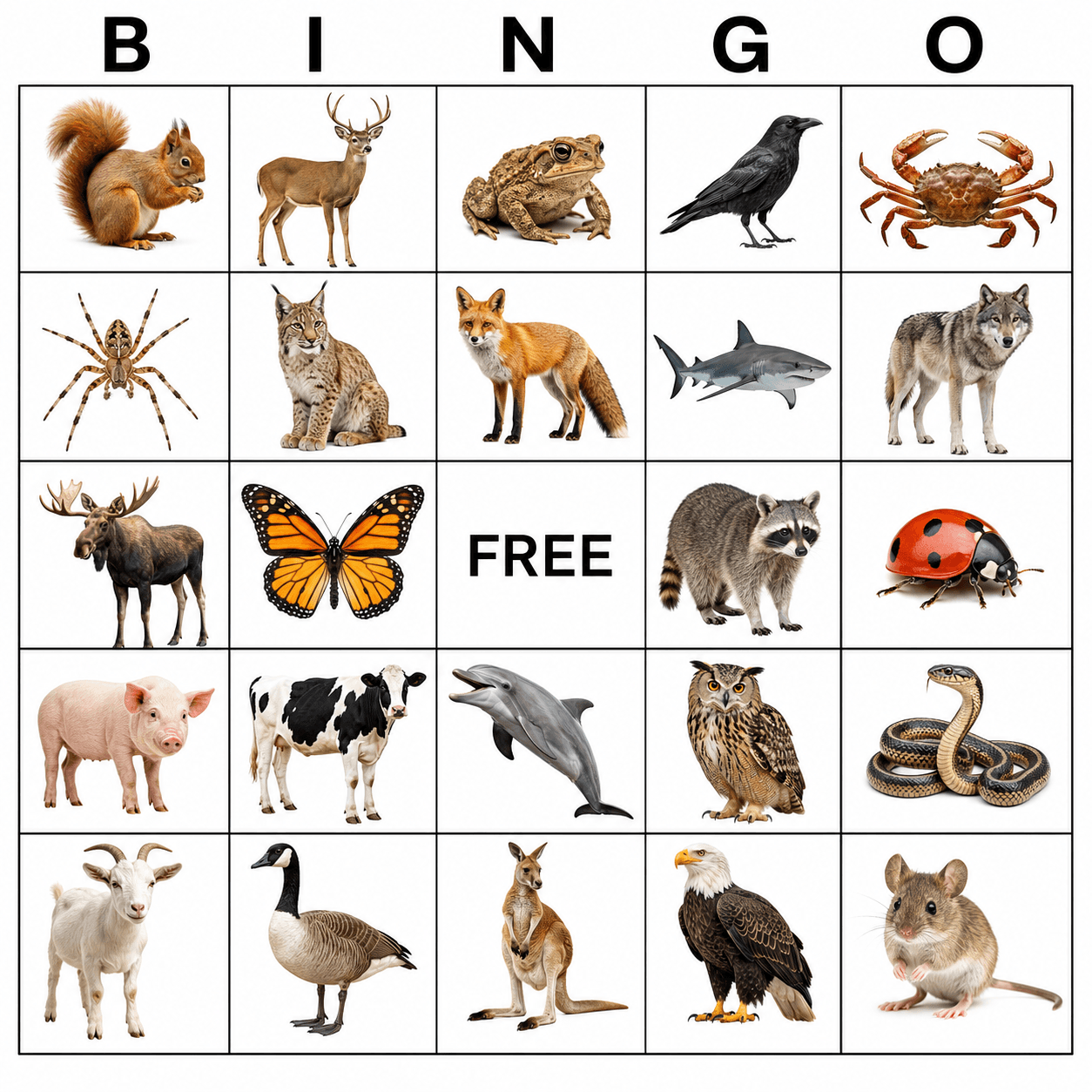 Animals Zoo Animal Bingo Card bingo card